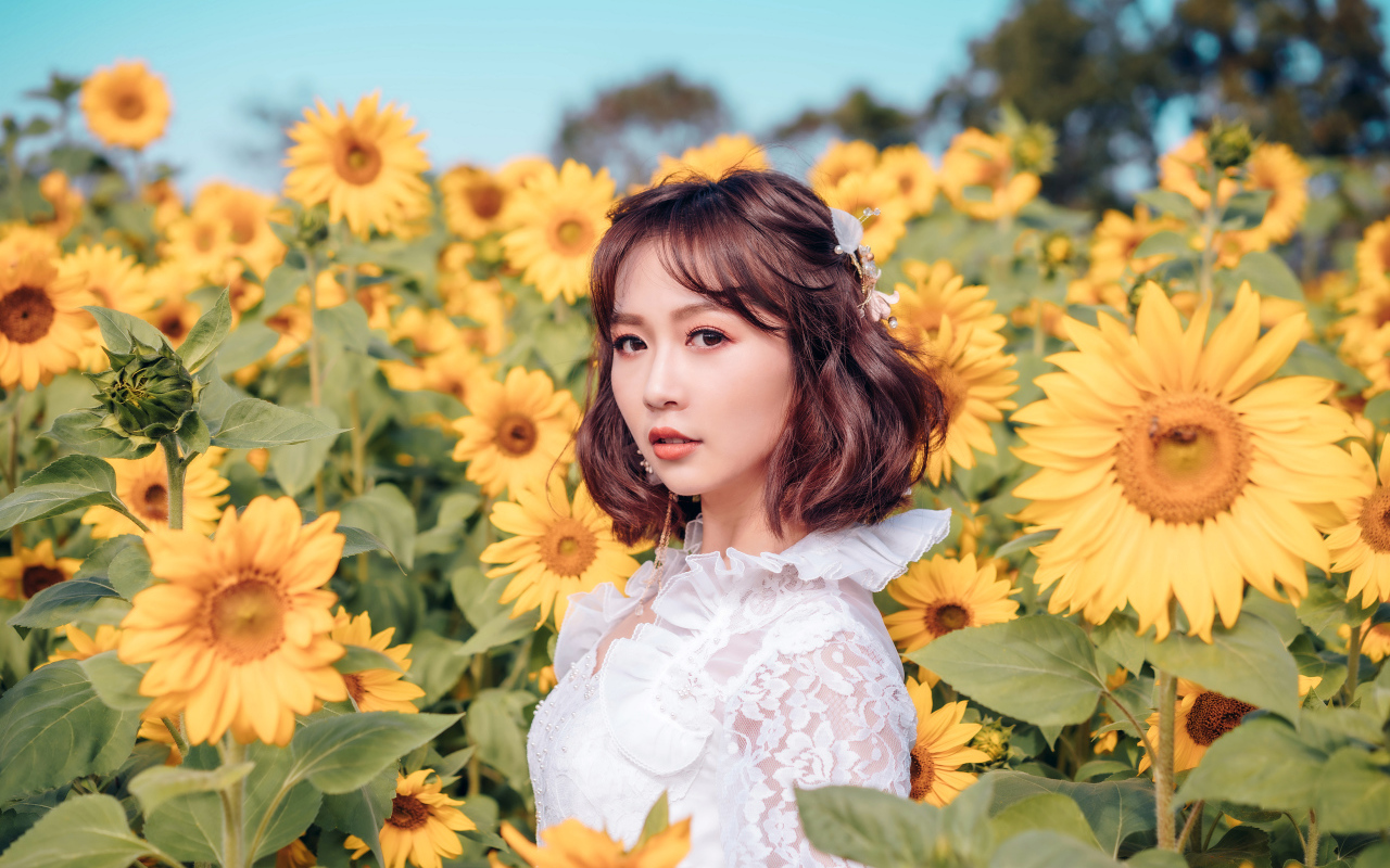 Красивая девушка азиатка в белом платье на поле с подсолнухами