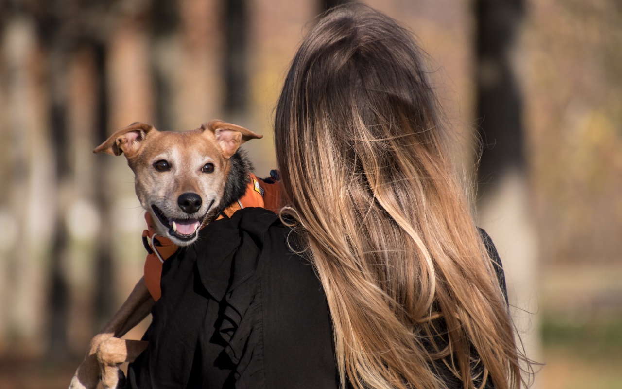Девушка несет собаку на руках 
