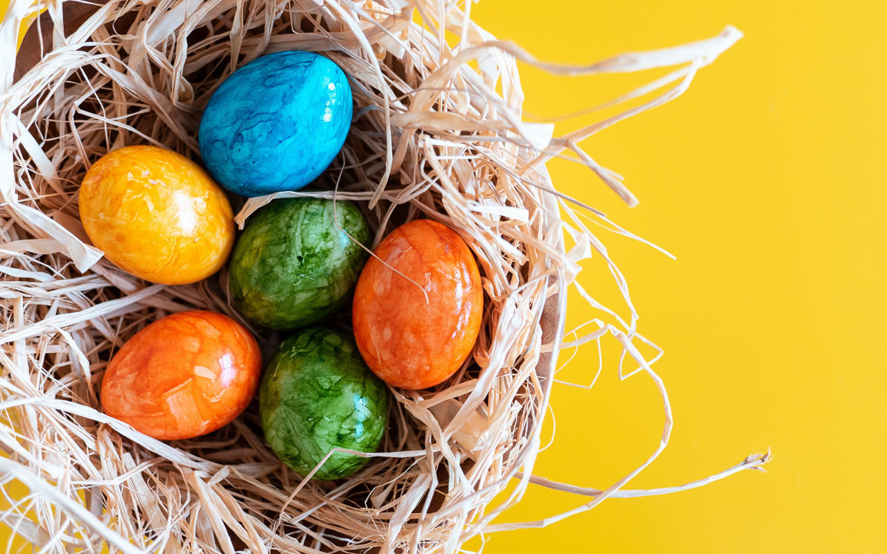 Разноцветные крашеные яйца в гнезде на Светлый праздник Пасха
