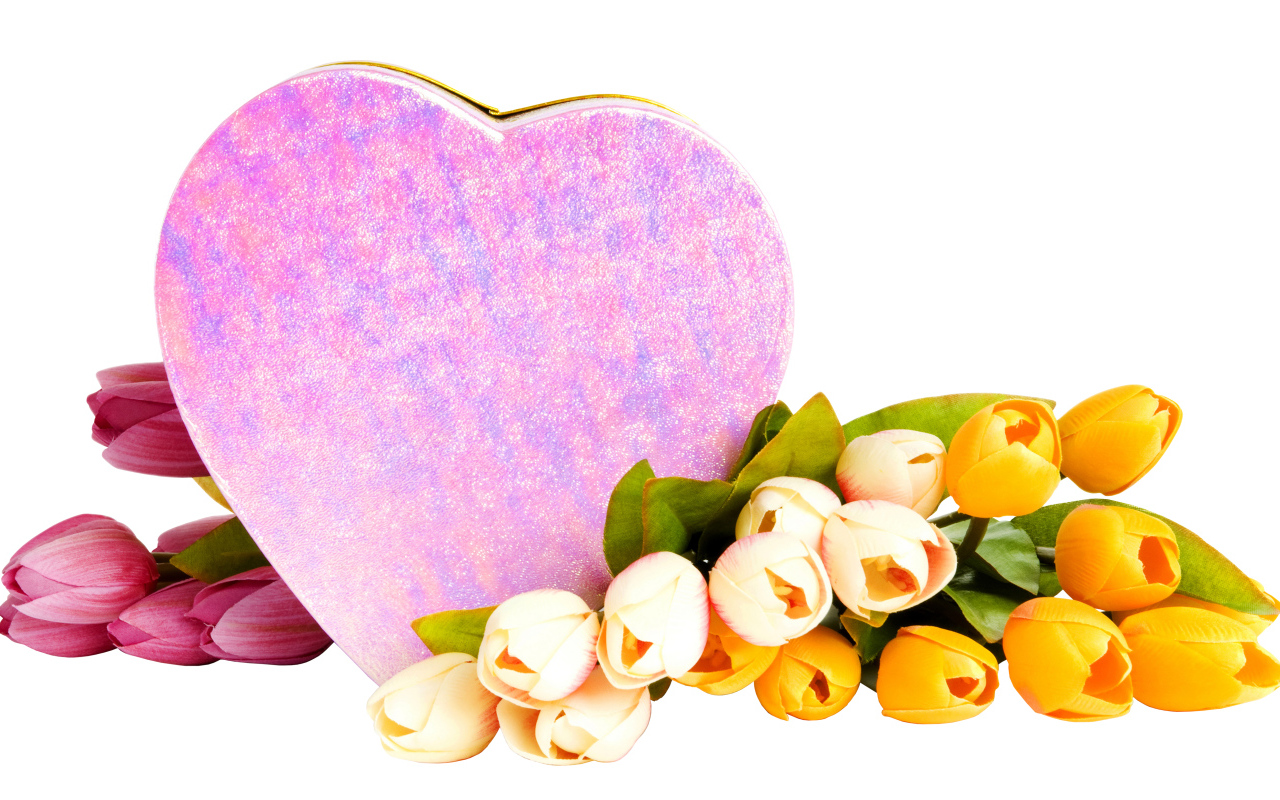 Коробка в форме сердца и букет тюльпанов на белом фоне на 8 марта