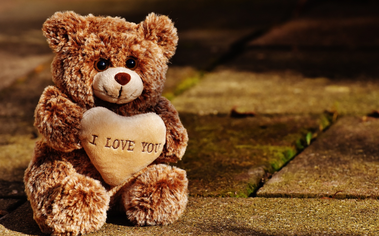 Игрушечный медведь с сердцем сидит на дороге 