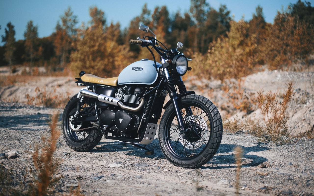 Мотоцикл Triumph Bonneville на дороге в лесу 