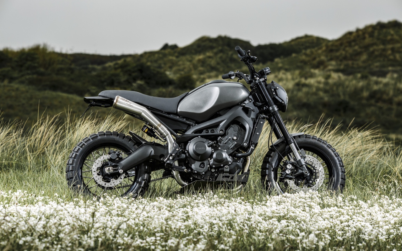 Черный мотоцикл Yamaha Tuning XSR900 в поле 