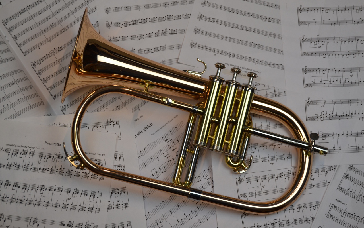 Музыкальный инструмент труба лежит на нотах 
