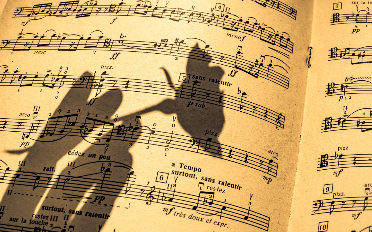 Тень розы на нотной тетради 