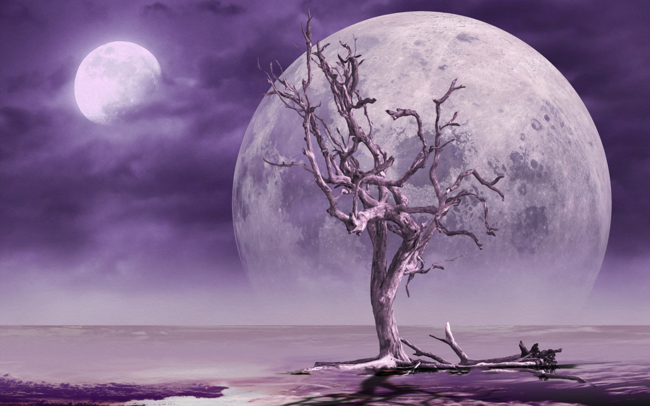 Большая луна в небе у сухого дерева