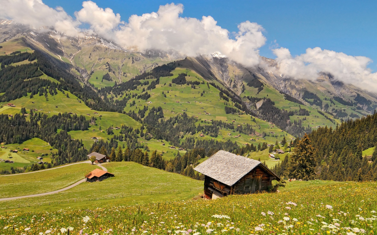 Дом на зеленом холме в горах под белыми облаками