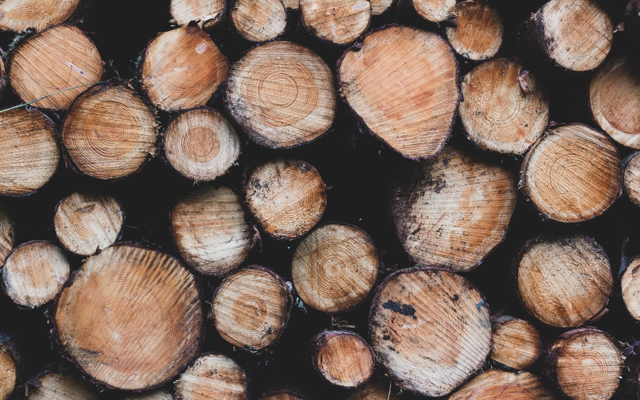 Заготовка дров к суровой зиме