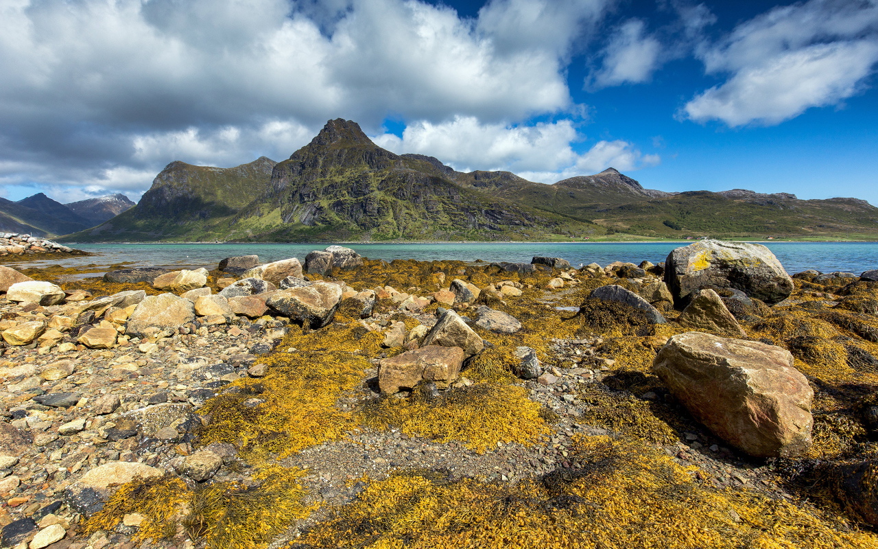 Камни на берегу реки под белыми облаками в голубом небе 