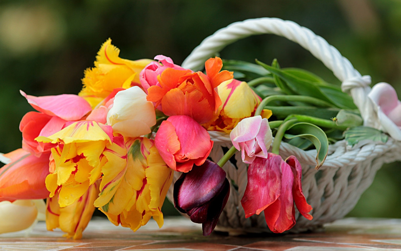 Букет красивых разноцветных тюльпанов в корзине 