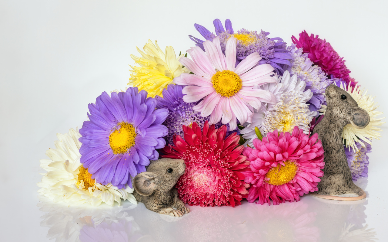 Букет разноцветных цветов астры с фигурками мышей
