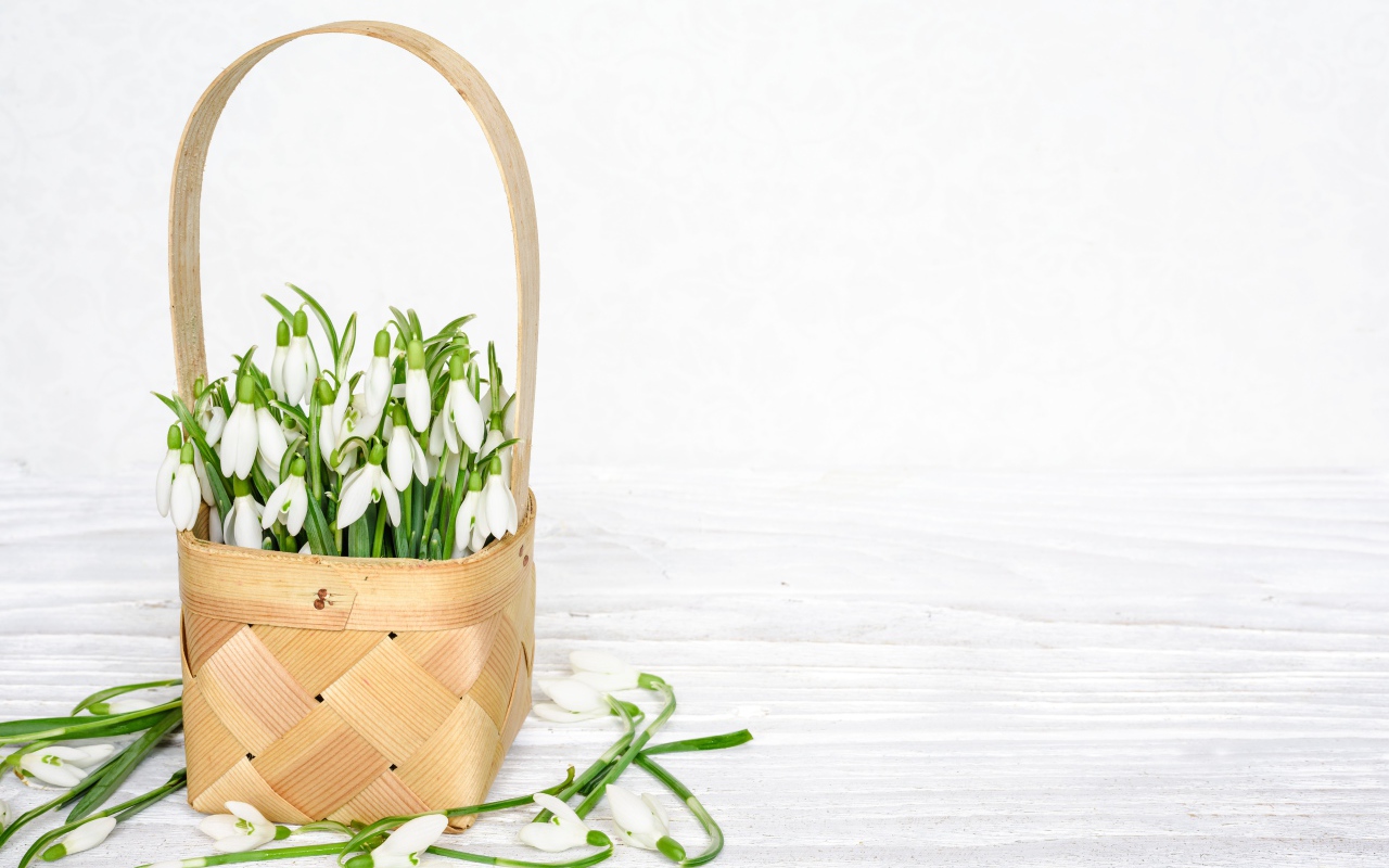 Букет подснежников в корзине на белом столе 