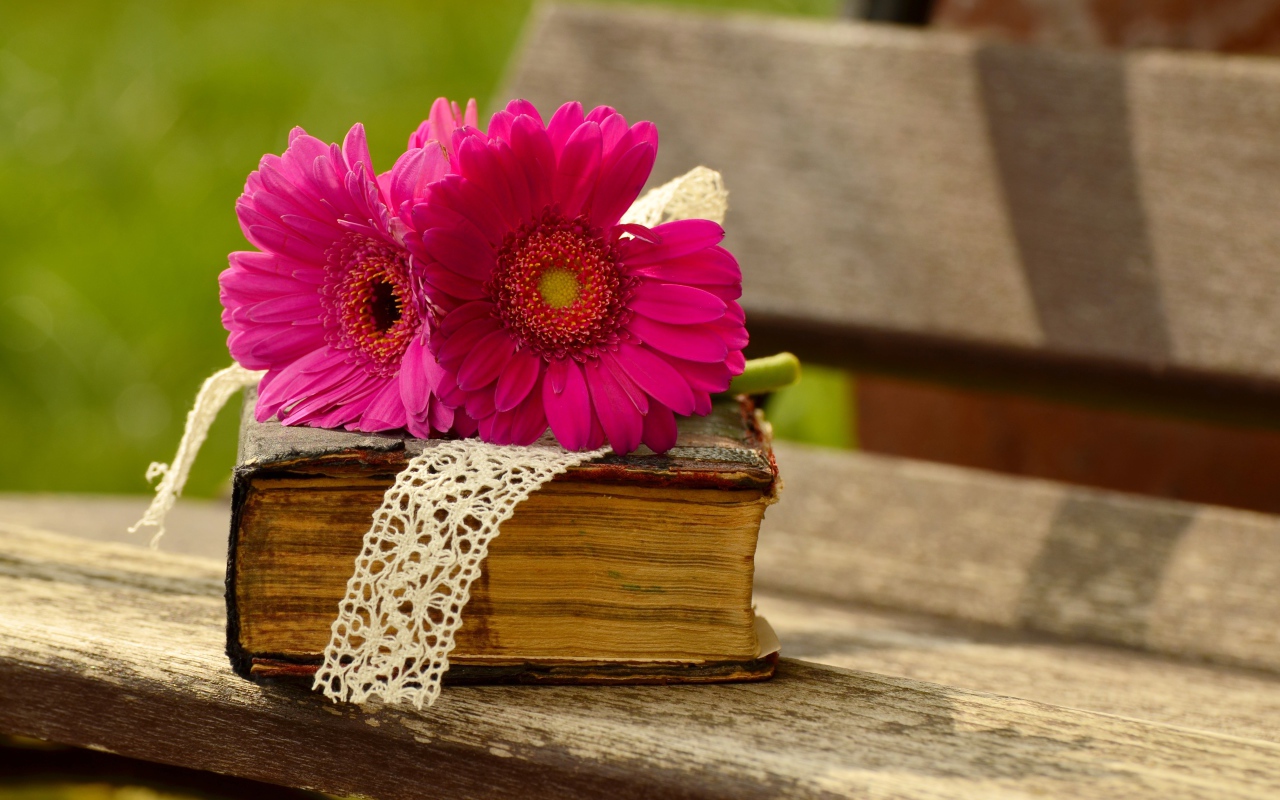 Цветы герберы со старой книгой на лавочке