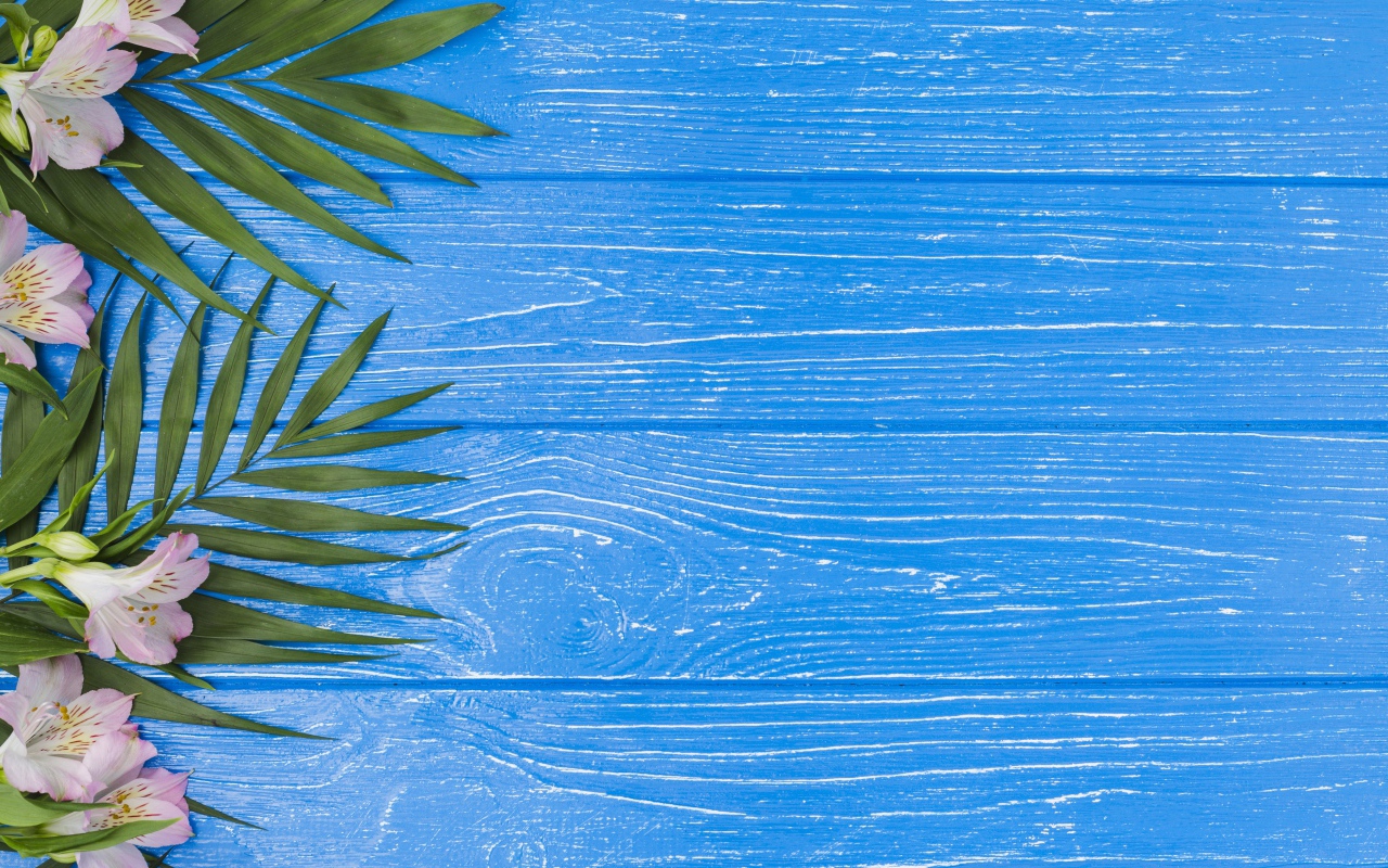 Розовые цветы альстромерии с зелеными листьями на голубом столе 