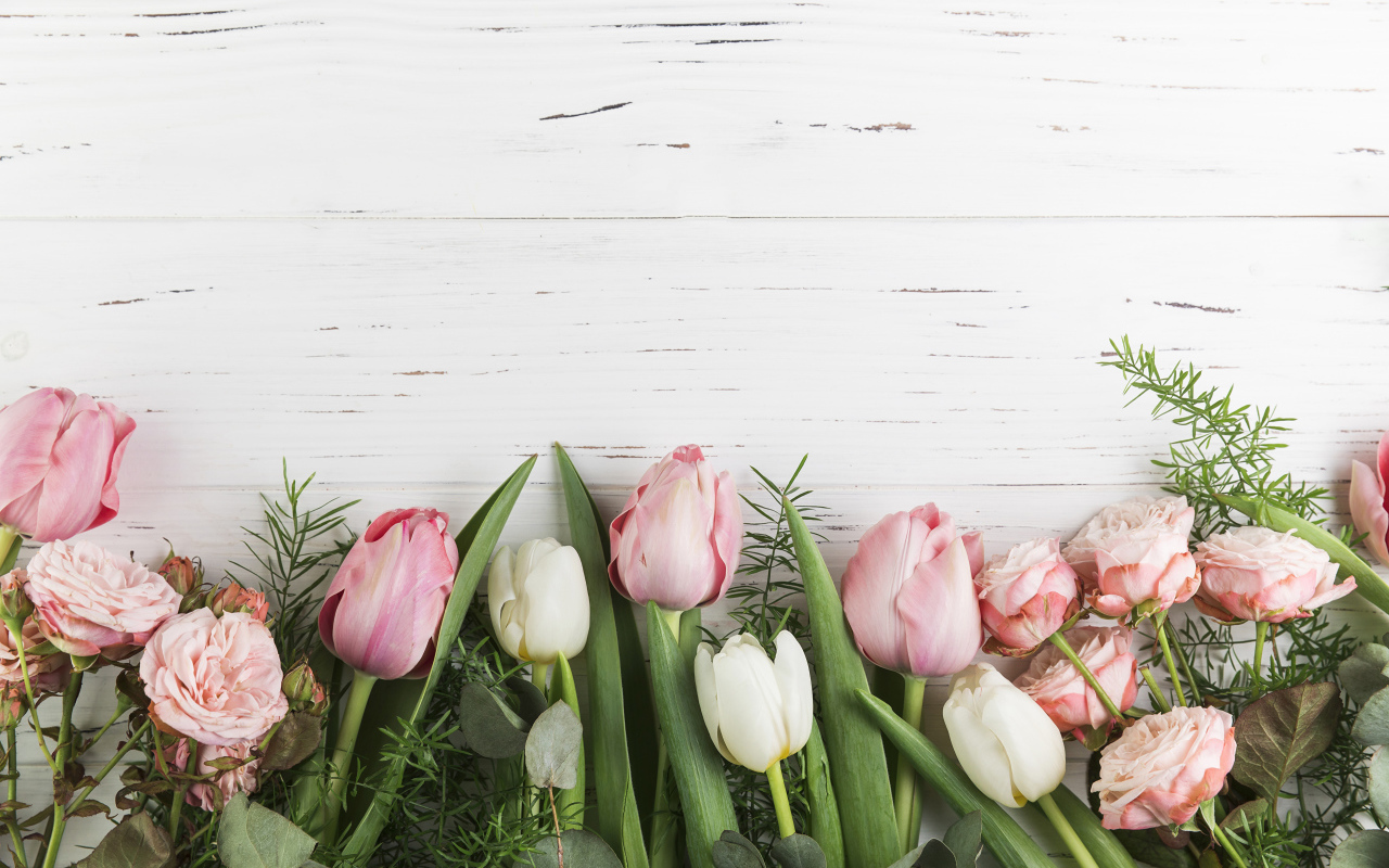 Розовые тюльпаны и розы на белом фоне