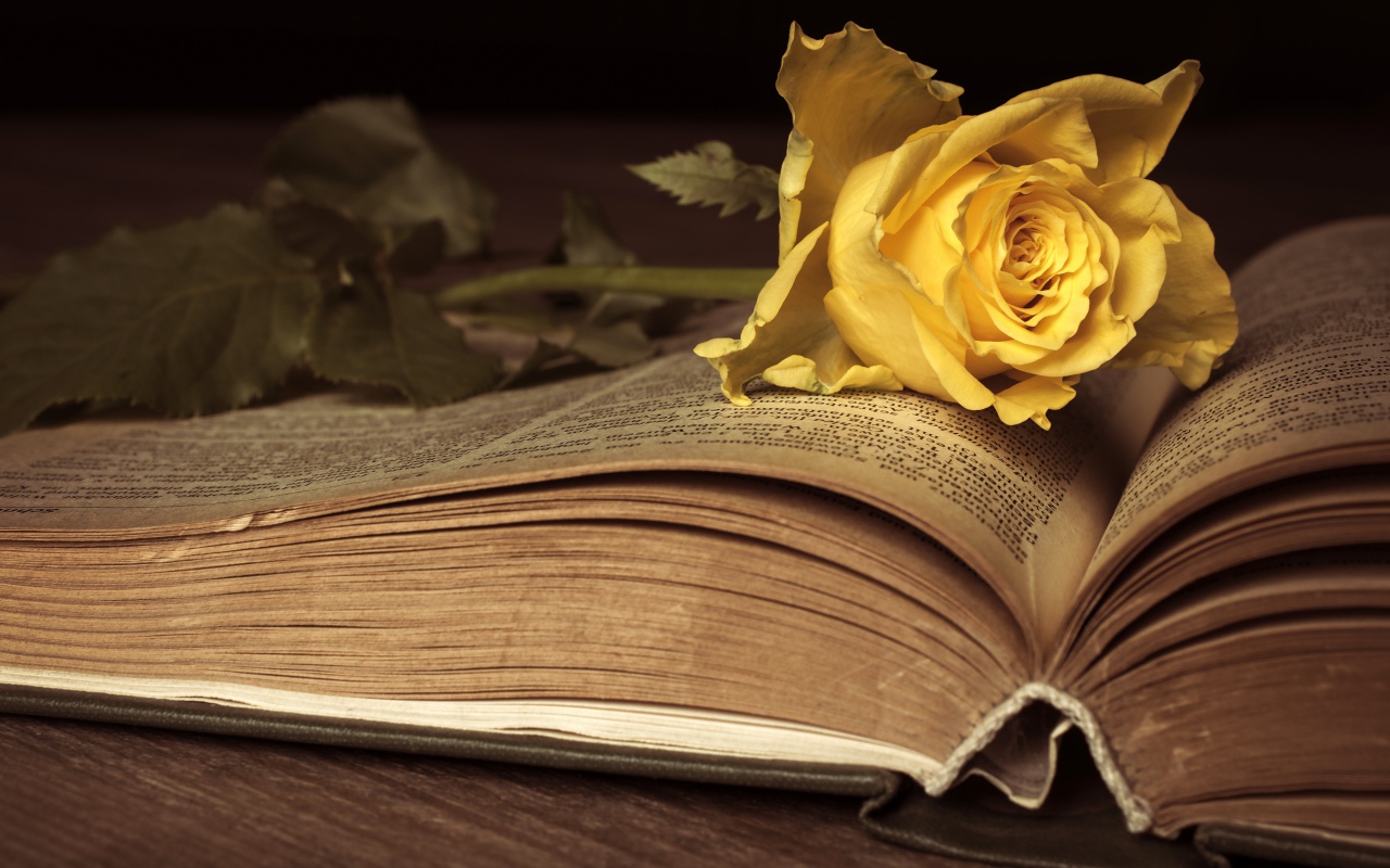 Желтая книга лежит на старой книге 