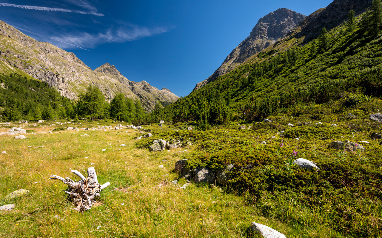 Красивый вид на покрытые зеленью горы под голубым небом