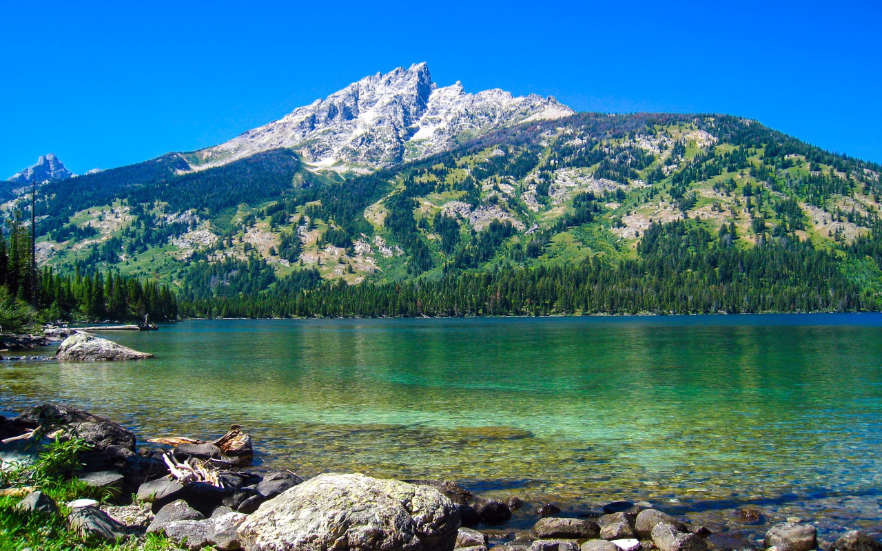 Большая покрытая растительностью  гора у озера