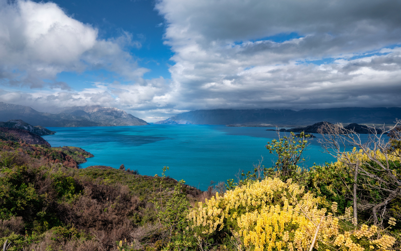 Густые белые облака над озером в горах 