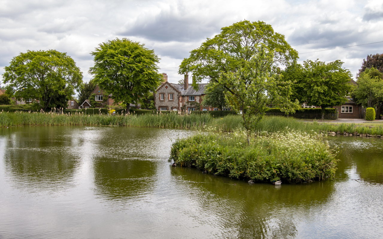 Улица с прудом и зеленой растительностью 