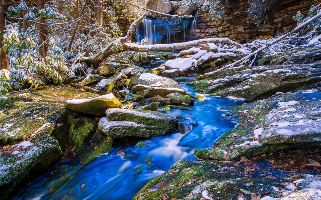 Первый снег покрыл камни у лесного ручья