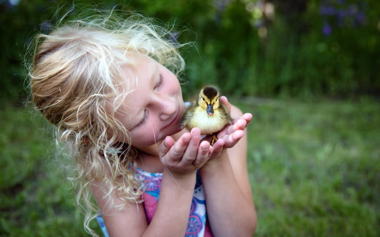 Маленькая милая девочка с утенком в руке