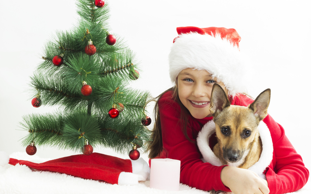 Улыбающаяся девочка с собакой у зеленой елки