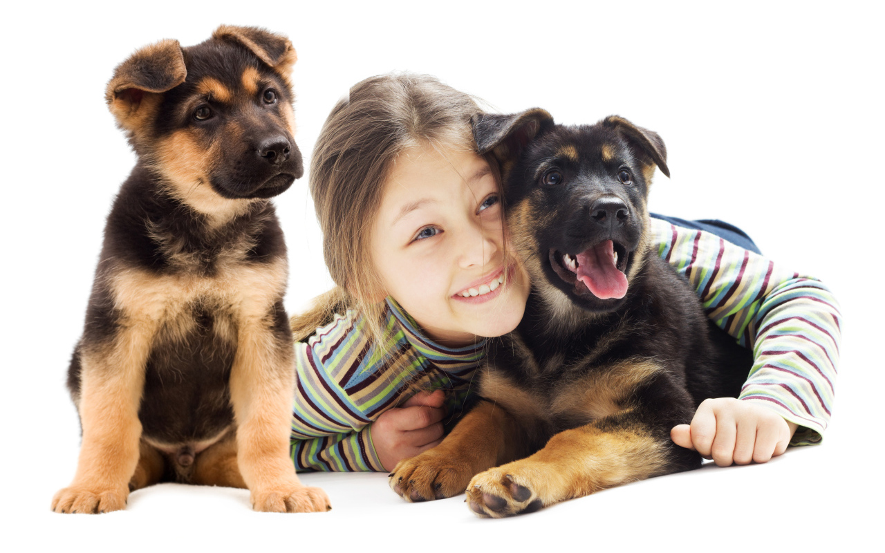 Улыбающаяся девочка с двумя щенками овчарки