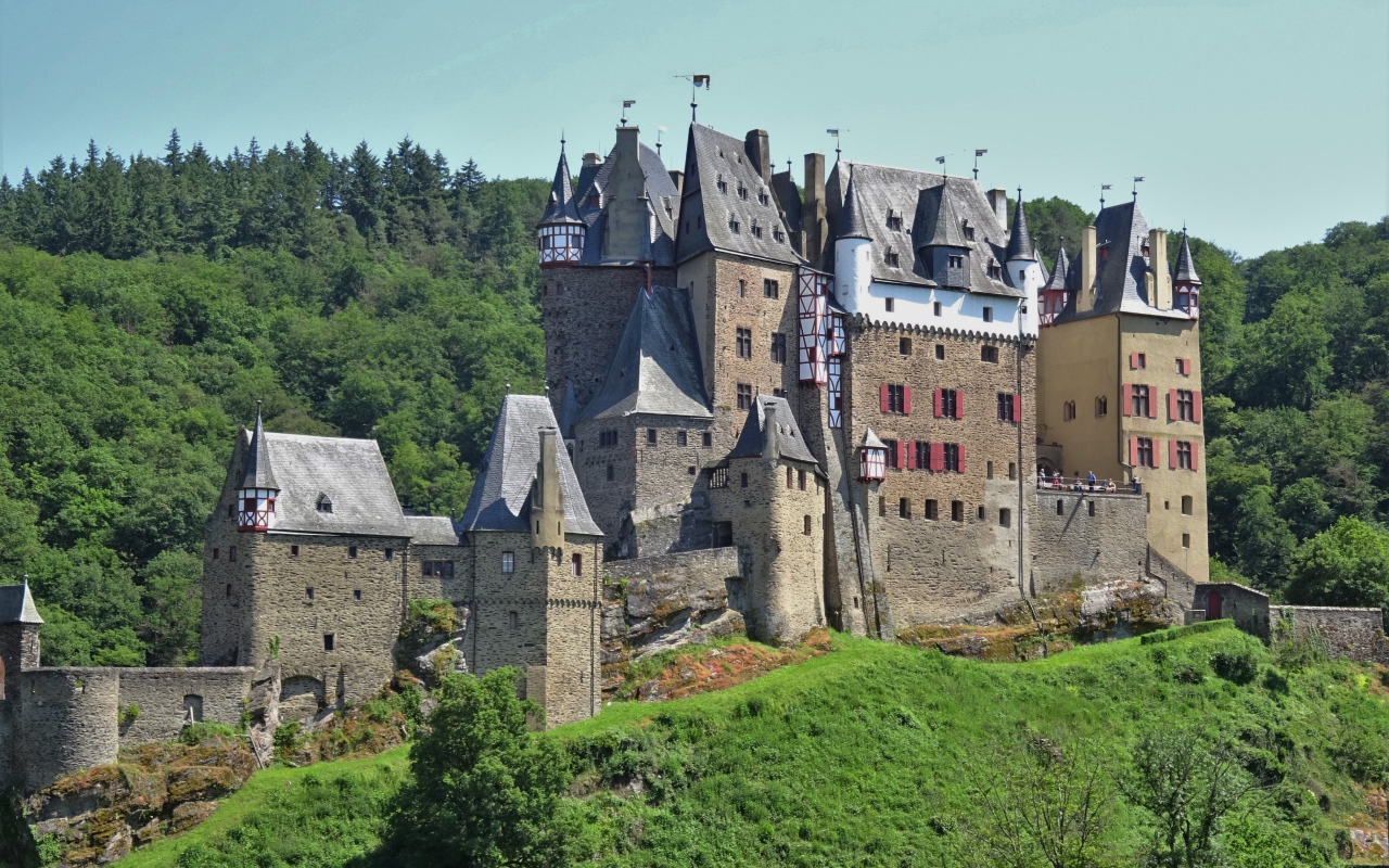 Старинный замок Рейнланд-Пфальц в лесу, Германия
