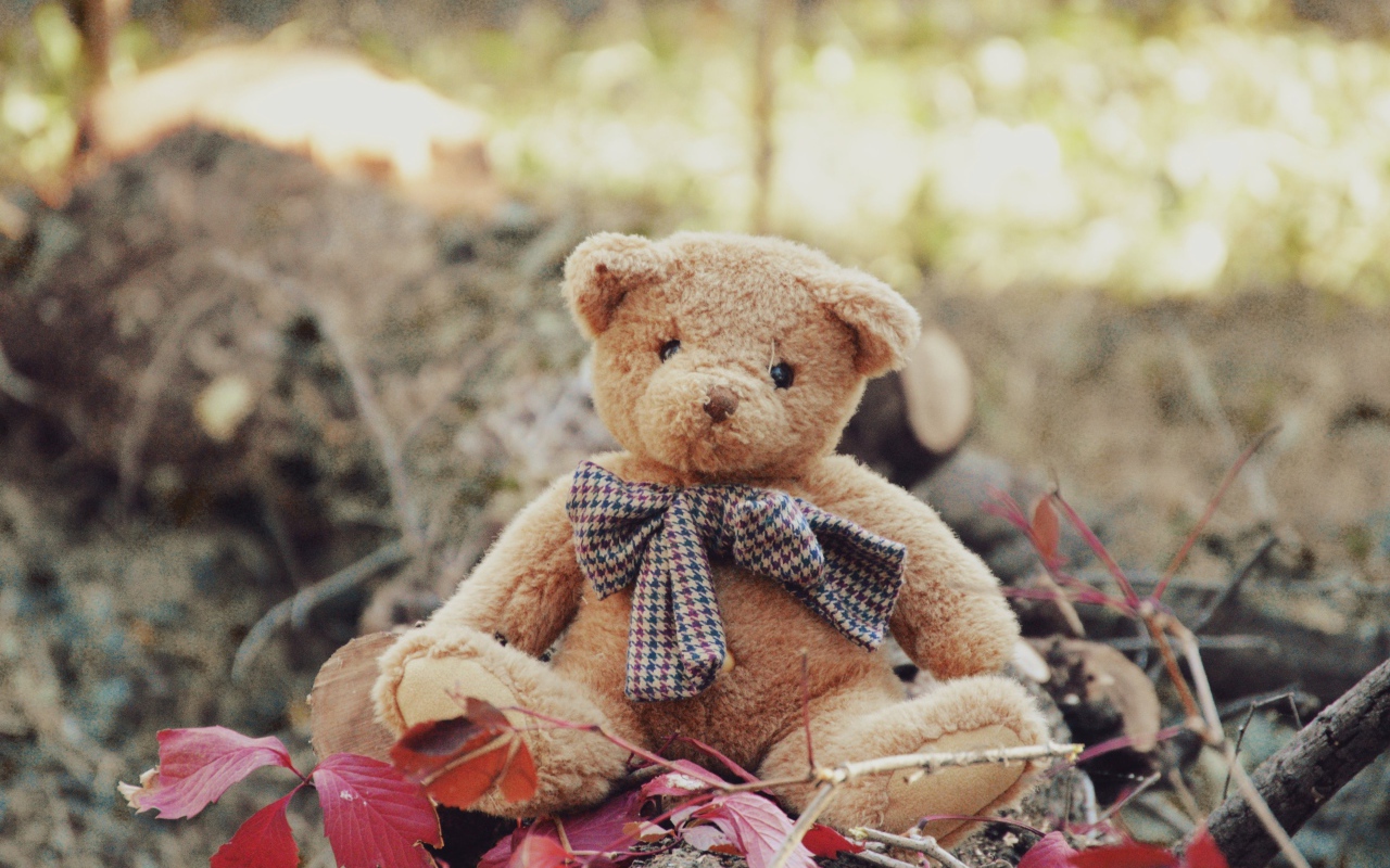 Маленький плюшевый мишка сидит на земле 