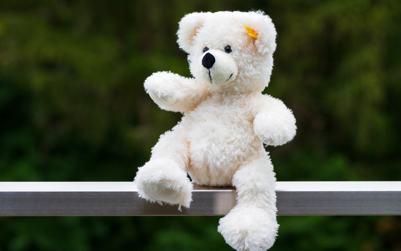 Белый плюшевый медведь сидит на деревянной доске