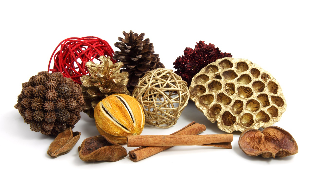 Ароматные специи и шишки на белом фоне 