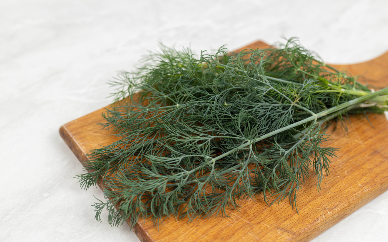 Свежий зеленый укроп на разделочной доске