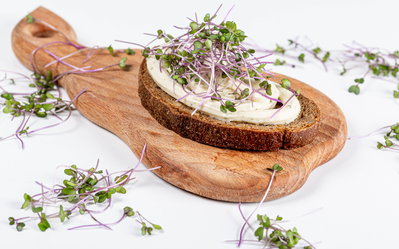 Бутерброд с соусом и зелеными ростками пшеницы