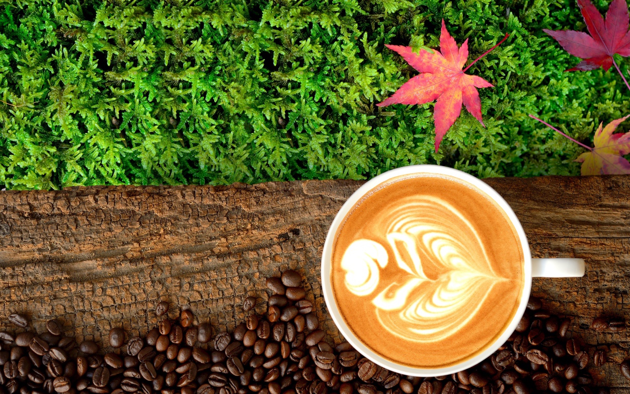 Белая чашка кофе на бревне с мхом