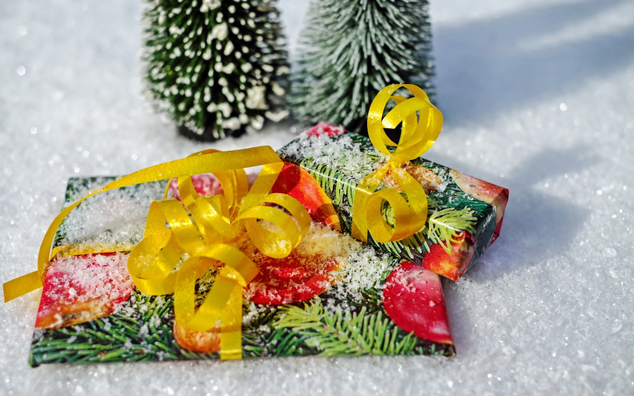 Два подарка с бантами на снегу 