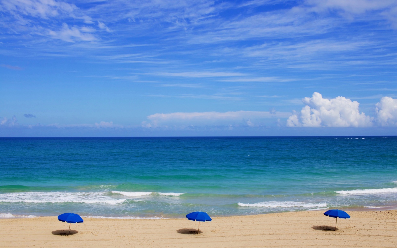 Зонтики на пляже у океана под голубым небом летом