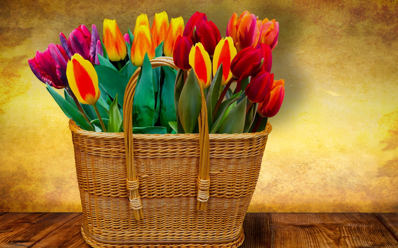 Красивый букет тюльпанов в корзине на фоне стены