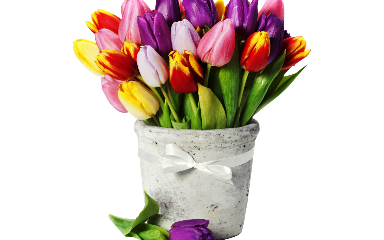 Букет разноцветных тюльпанов в вазе на белом фоне