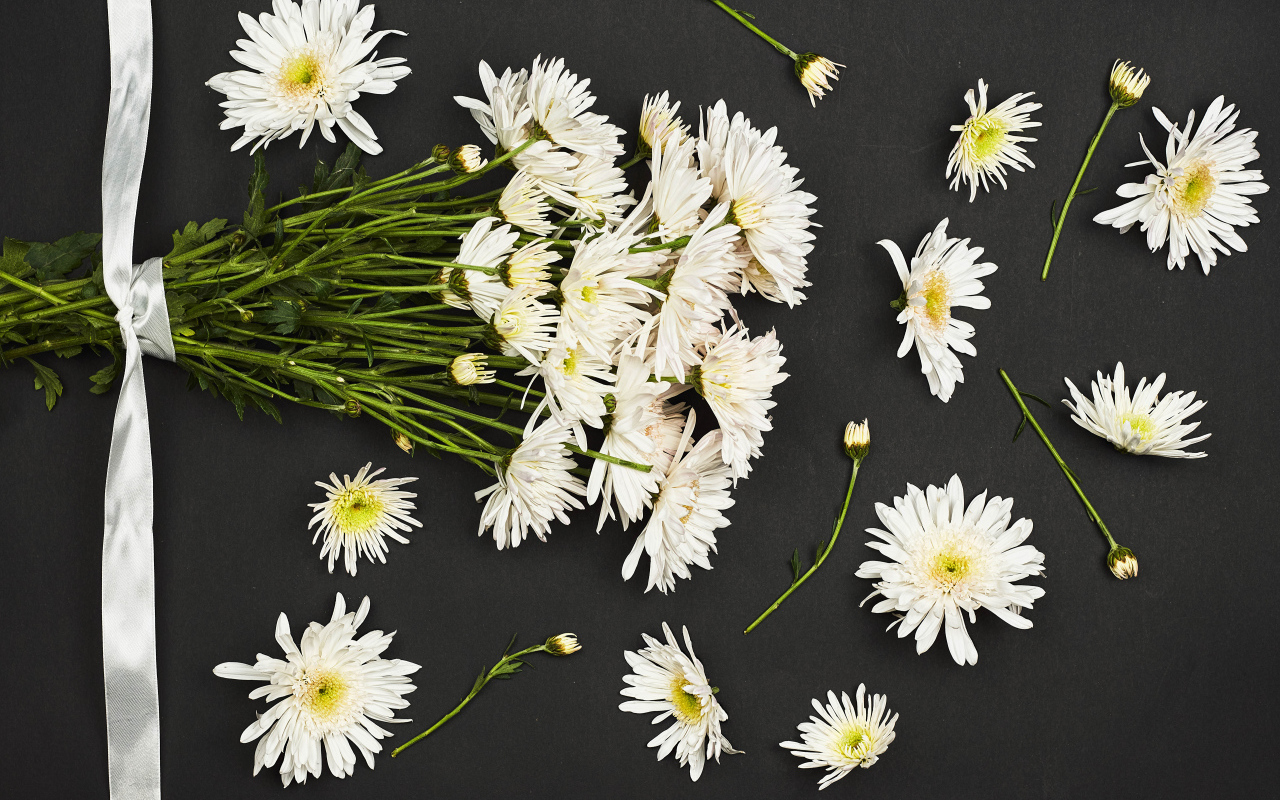 Букет белых хризантем на черном фоне