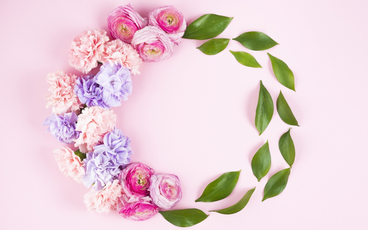 Гвоздики с лютиками и зелеными листьями на розовом фоне