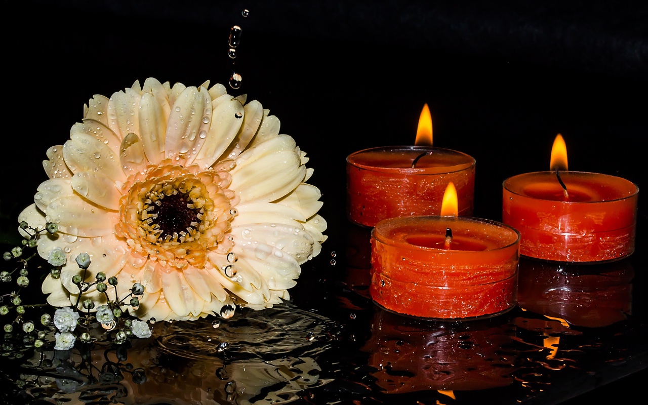 Кремовая гербера со свечами на мокром столе