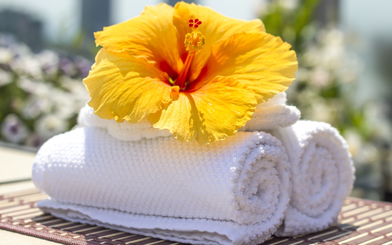 Большой цветок гибискуса с белыми полотенцами