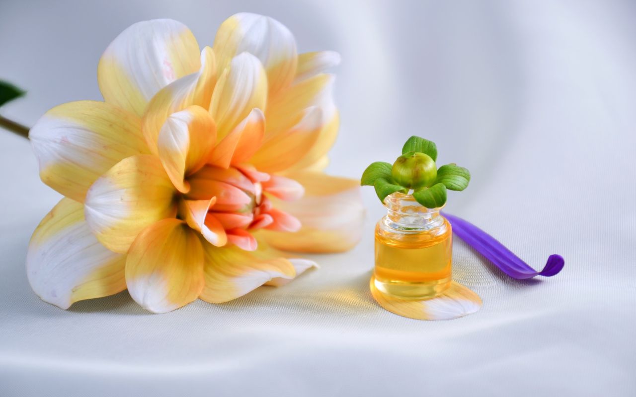 Оранжевый цветок георгина с эфирным маслом на столе