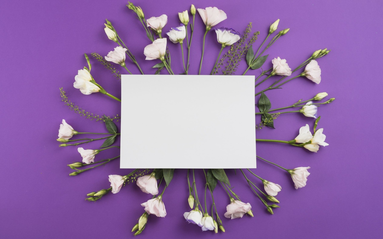 Белые цветы эустомы с белым листом на фиолетовом фоне