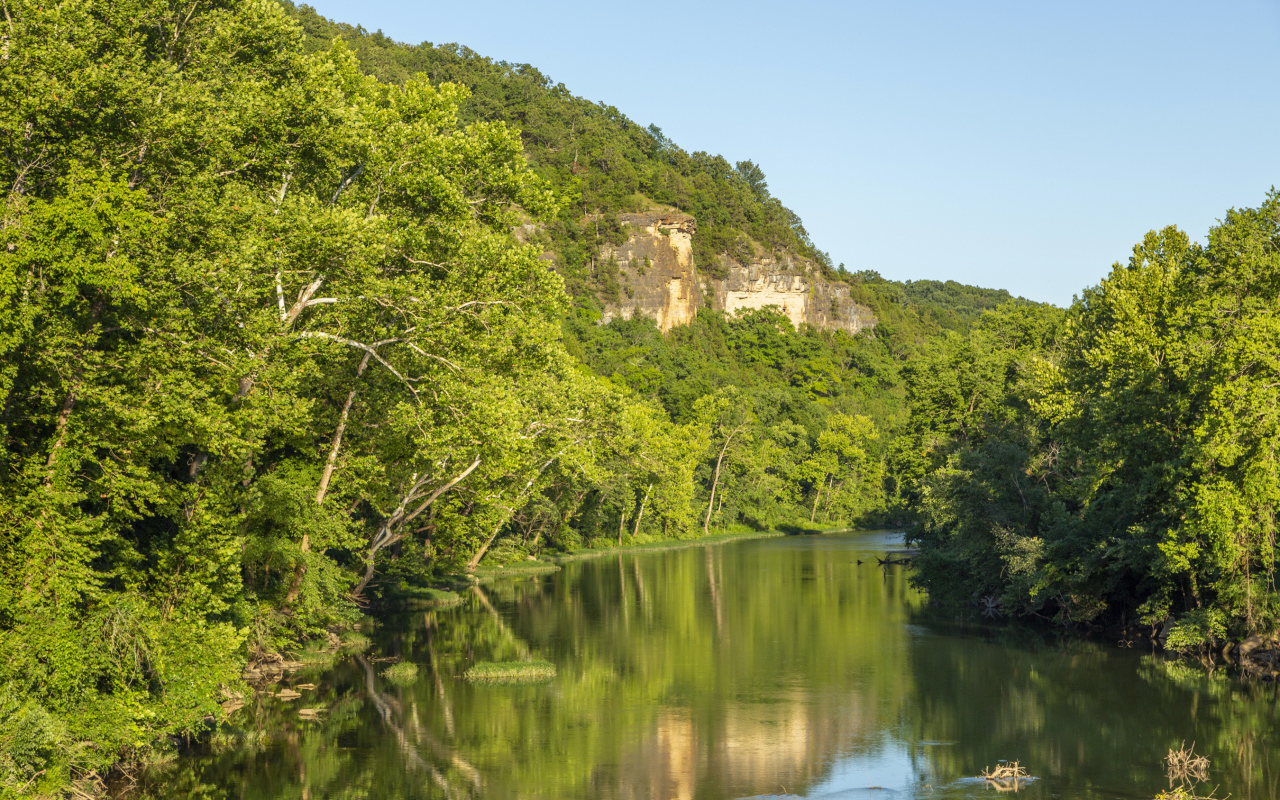 Зеленые деревья на склоне утеса над рекой 