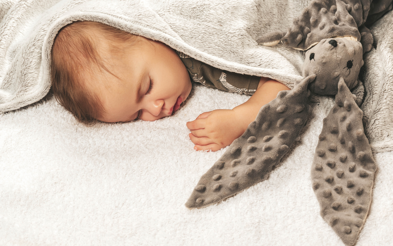 Маленький ребенок спит с игрушкой под одеялом