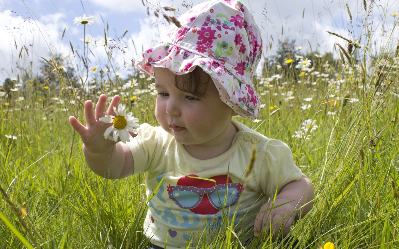 Маленький ребенок в панамке с ромашкой в руке