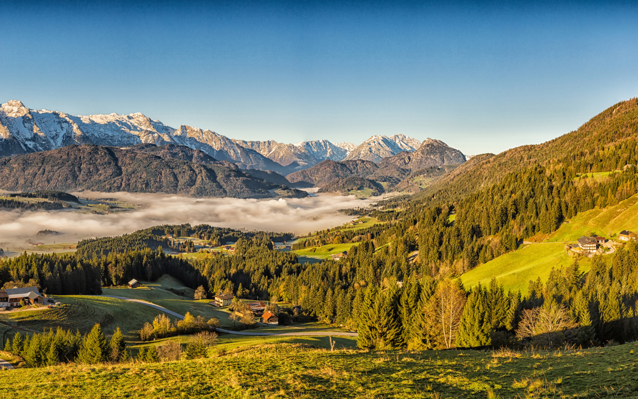 Красивый вид на горы Альпы покрытые зеленым лесом, Австрия 