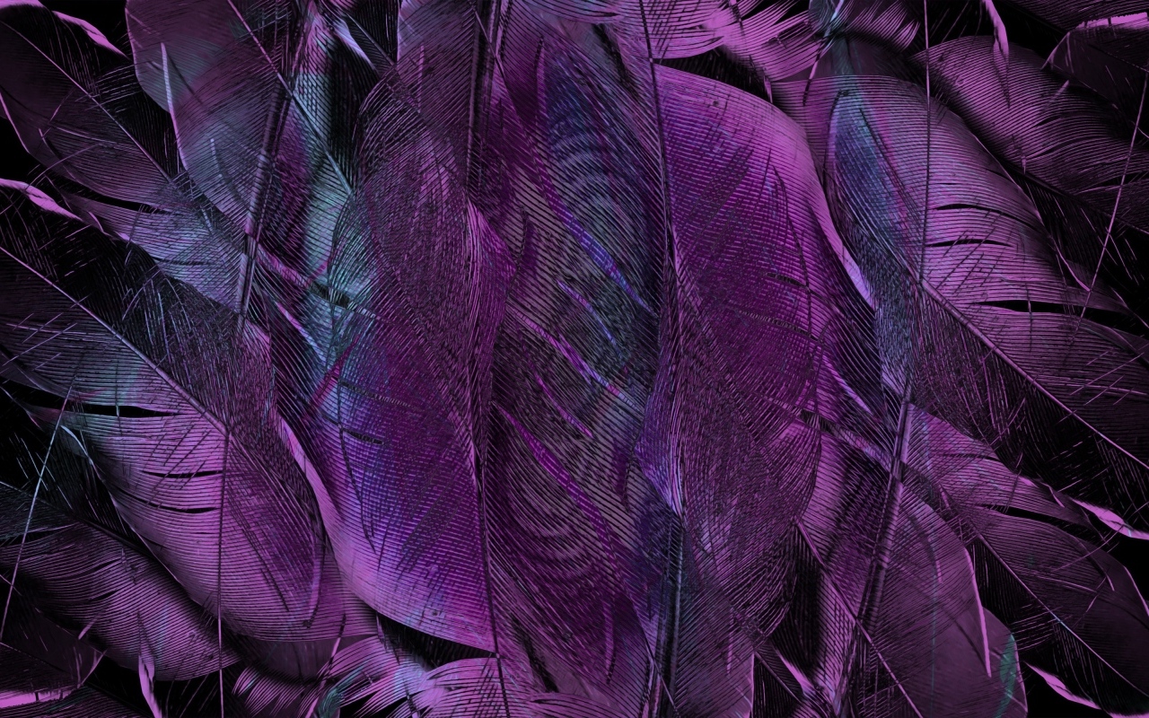 Фиолетовые перья птицы крупным планом